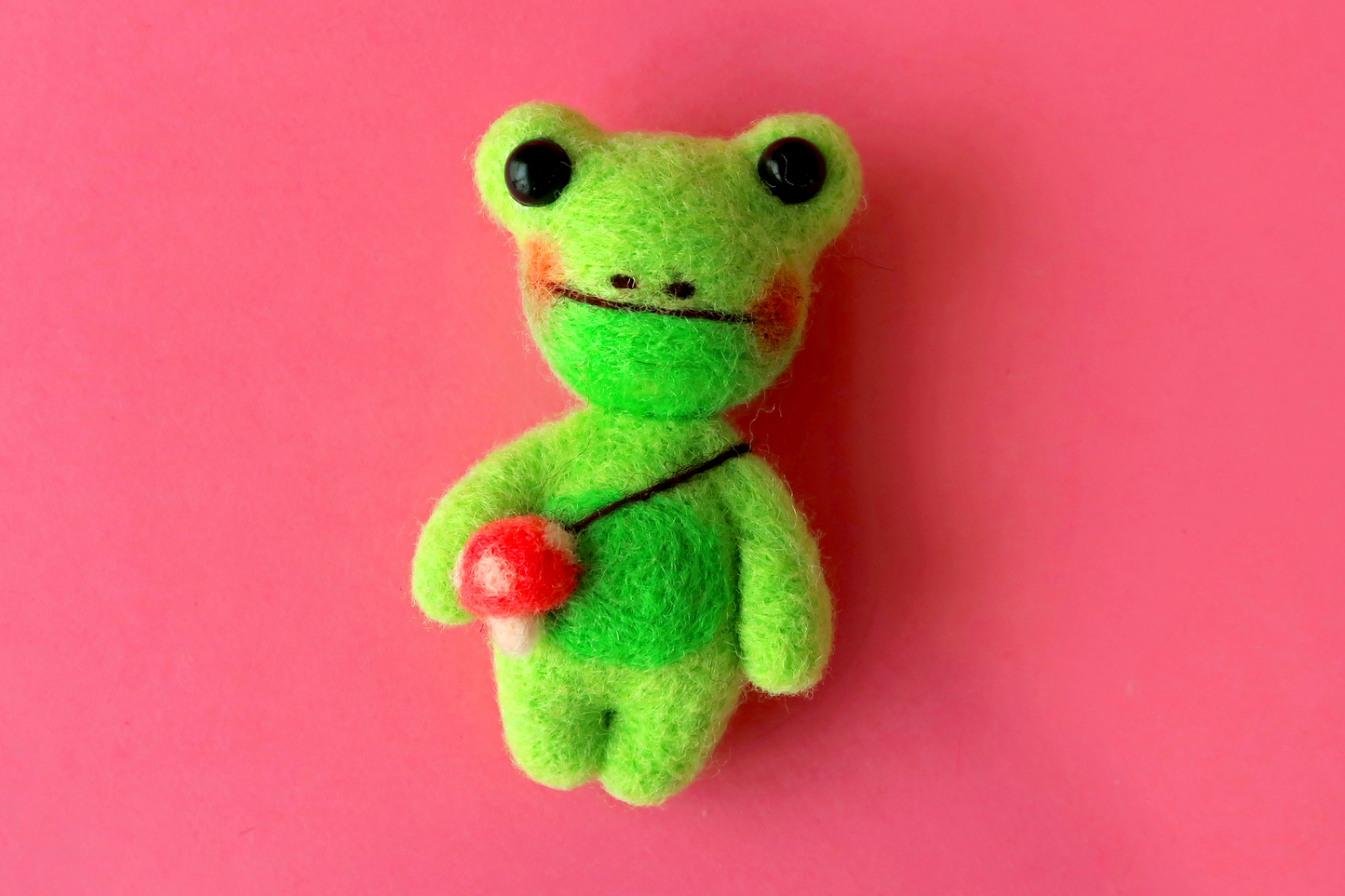 Frog Needle Felting Kit