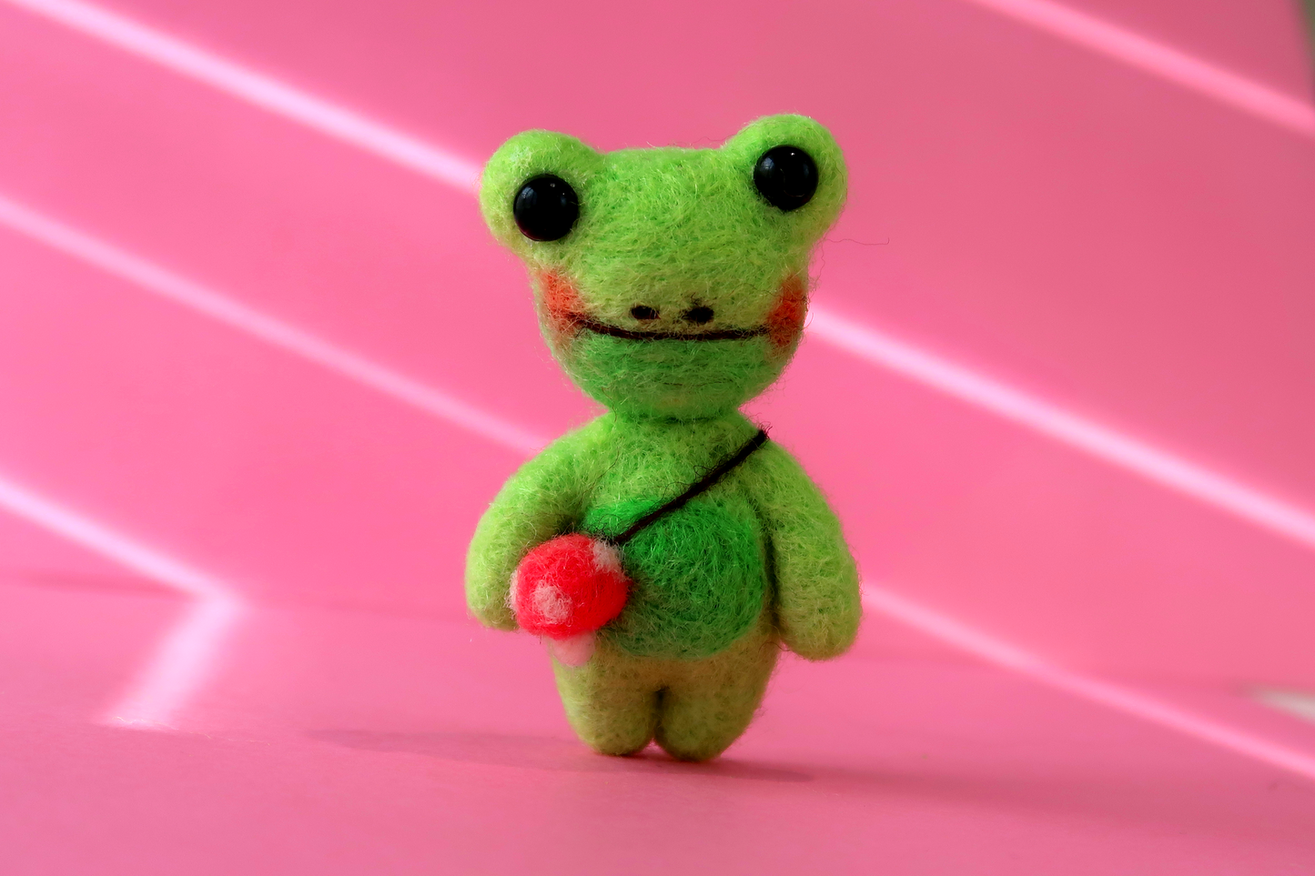 Frog Needle Felting Kit